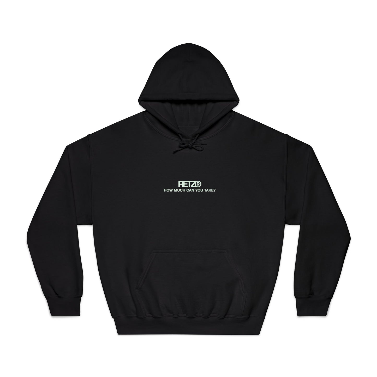 "how much can you take" hoodie