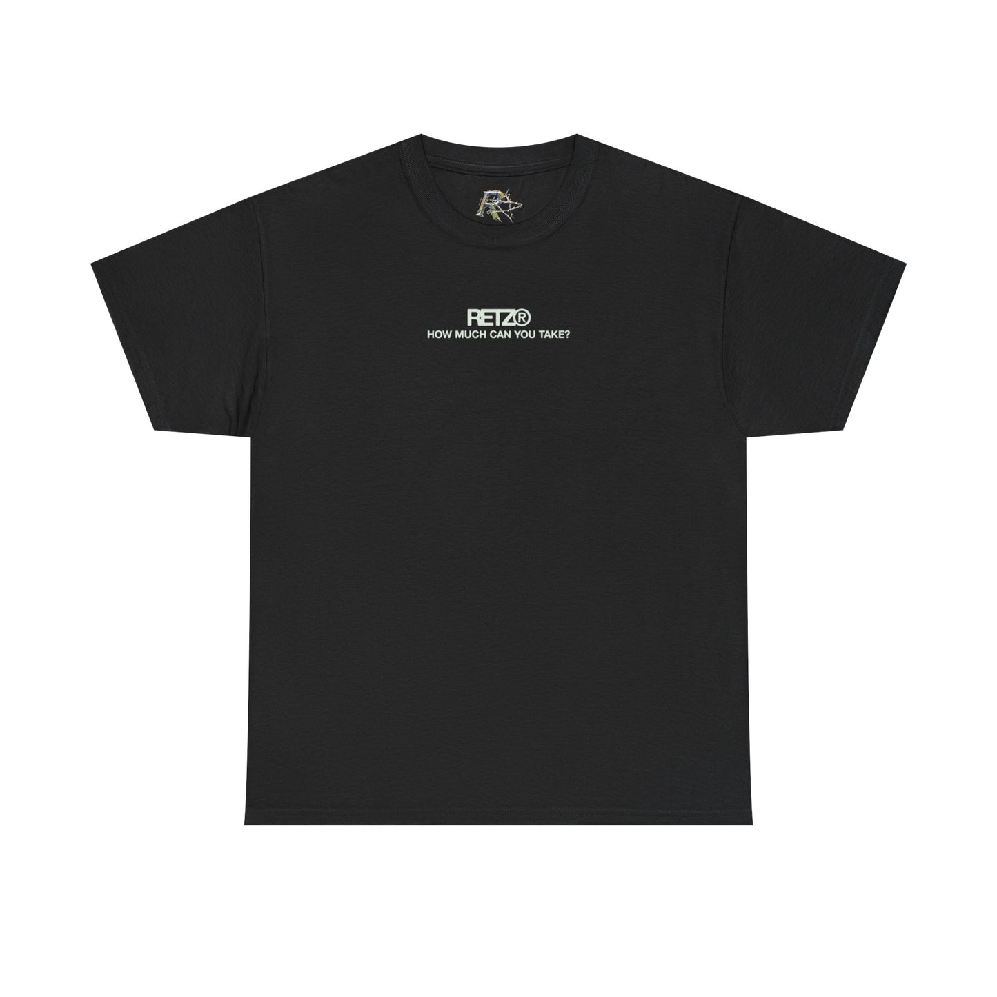 "how much can you take" tee